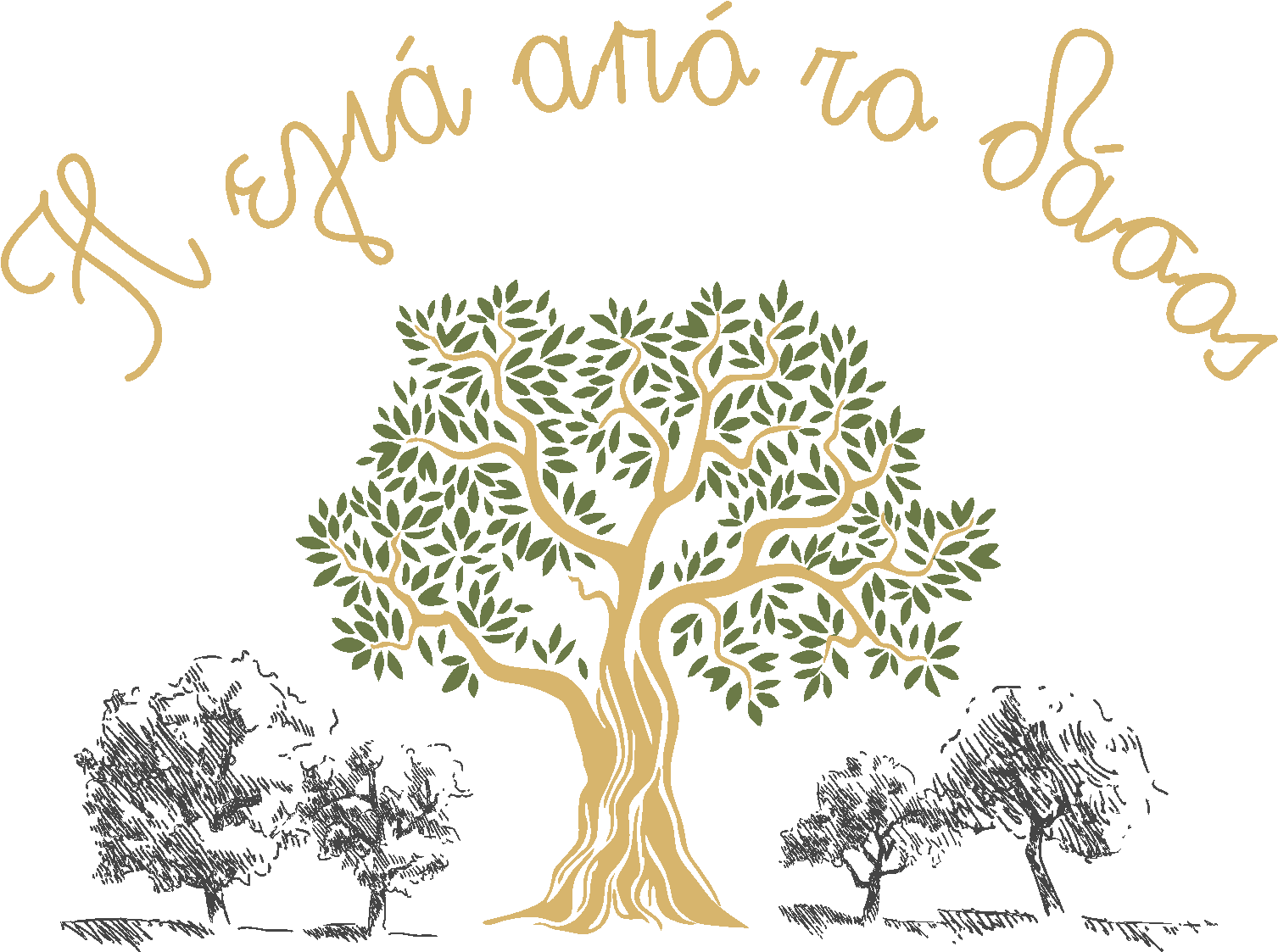 η ελιά από το δάσος logo